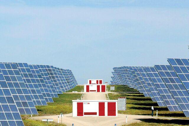 Campeãs portuguesas do ambiente revelam fórmulas