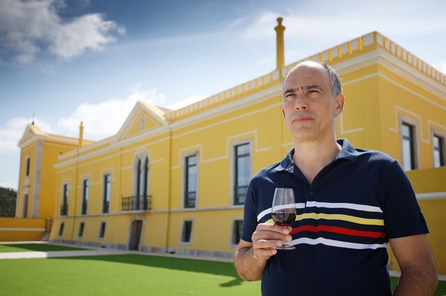 Dona do Gradil instala adega industrial no Alentejo