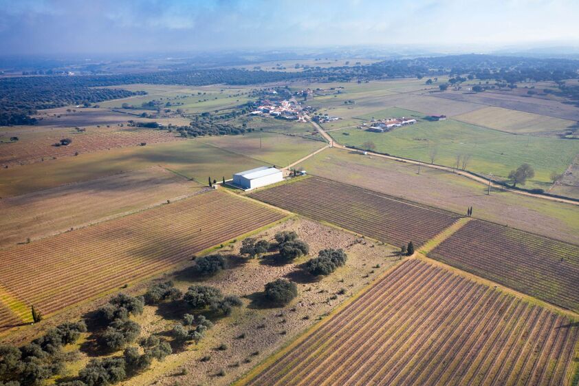 Herdade Monte dos Cardeais, Alentejo, Costa Boal