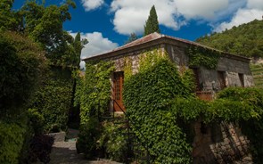 Três “décadas do avesso” na Quinta de Covela