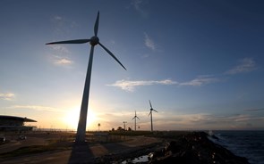 Quota de renováveis no consumo energético recua em 2021 pela primeira vez na UE