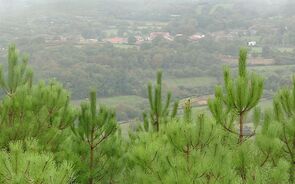 montalegre