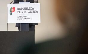 Matos Fernandes