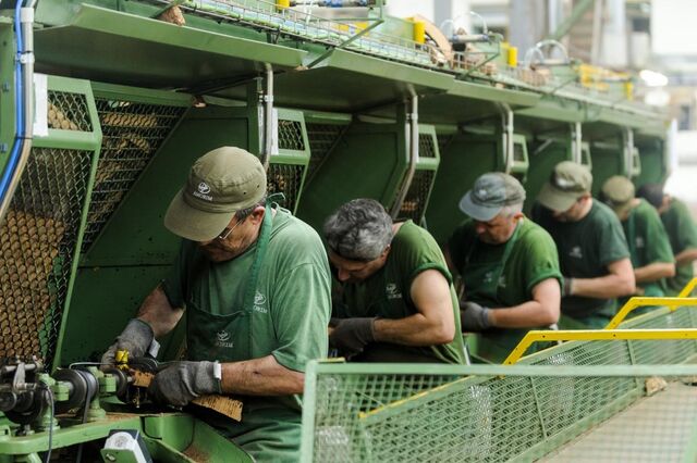 Corticeira Amorim paga dividendo de 18,5 cêntimos a partir de 17 de maio