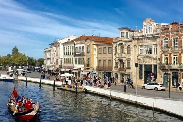 Trás-os-Montes e Aveiro preparam-se para receber novas redes de autocarros