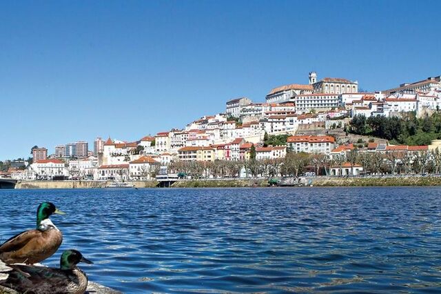 Câmara de Coimbra cancela festividades da passagem de ano