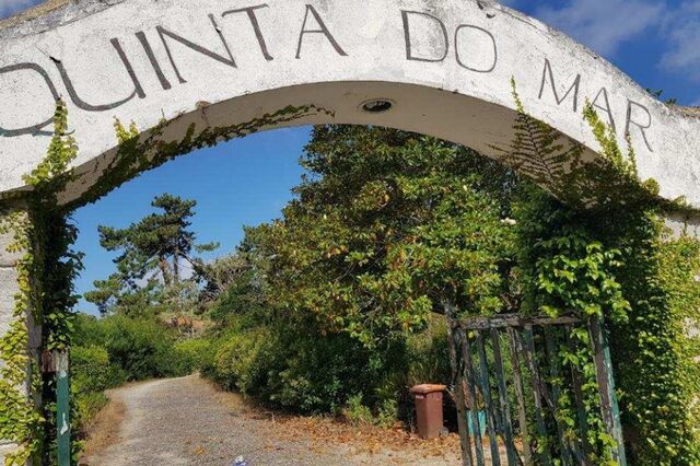 Promotora investe 14 milhões para construir hotel de 5 estrelas na antiga colónia de férias da CUF em Colares