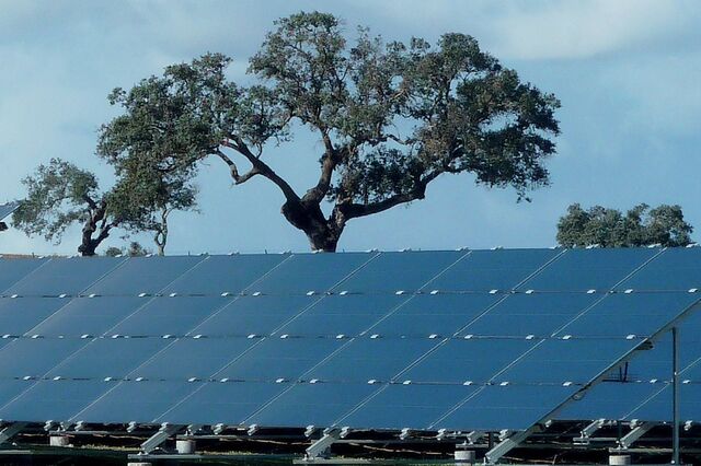 Angola tem 'papel fundamental' para ajudar Europa na transição energética sustentável, diz ACNAE 