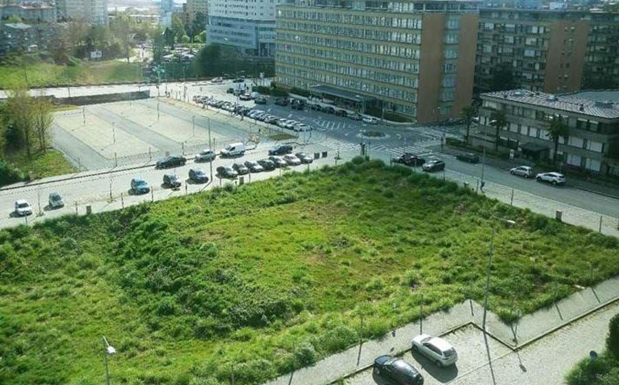 Vista parcial da clareira de quase dois hectares junto à Avenida da Boavista, no Porto.