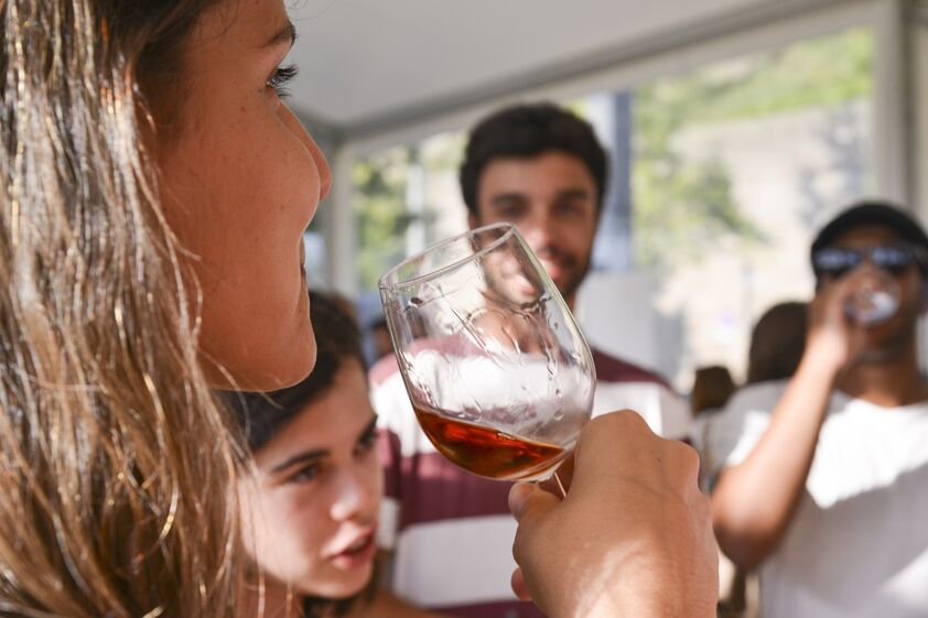 feira de vinhos