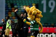 Sporting, Ruben Amorim