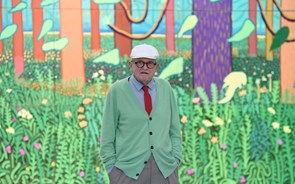 David Hockney: 'O mundo é muito, muito bonito, mas temos de olhar de perto para nos apercebermos'