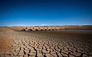 Chuva dos próximos dias pode desagravar situação de seca