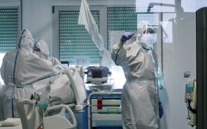 covid, virus, hospital, internamento