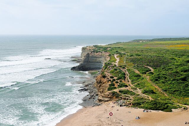 Cascais, Mafra e Sintra avançam com estudos para futura área marinha protegida