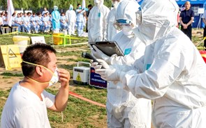 China deteta primeiro caso mundial de gripe aviária H10N3 em humanos