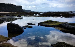 Costa Vicentina, segredos de um Algarve com tanto por descobrir