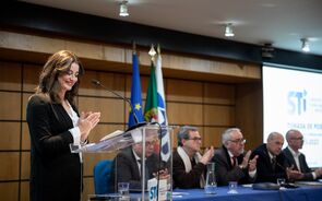 Ana Gamboa STI