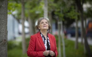 Elisa Ferreira