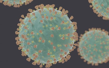 Covid-19: França identifica nova variante. É a IHU e tem mais de 40 mutações genéticas