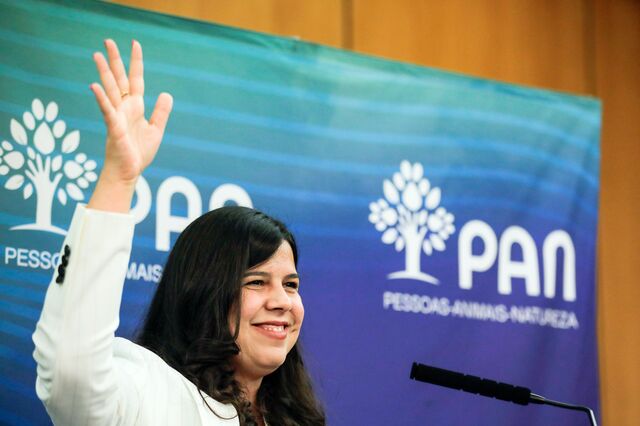 Pelo menos dez demissões na Comissão Política Nacional do PAN 