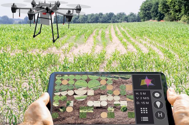 Ministério da Agricultura anuncia abertura de primeiros avisos, no âmbito do PRR
