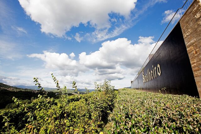 Soalheiro de Melgaço “sai do conforto” do Alvarinho