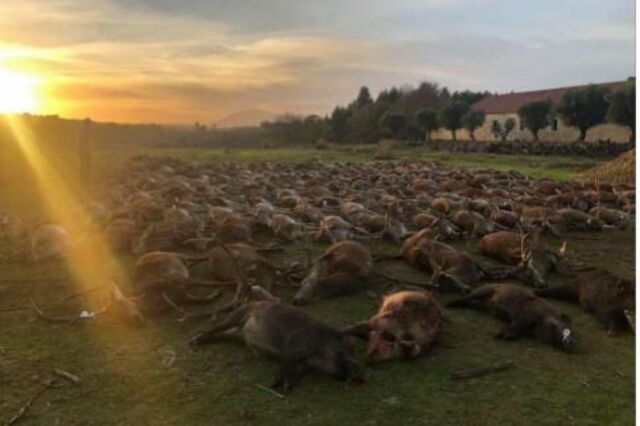 Agência do Ambiente aprova central fotovoltaica na Herdade da Torre Bela
