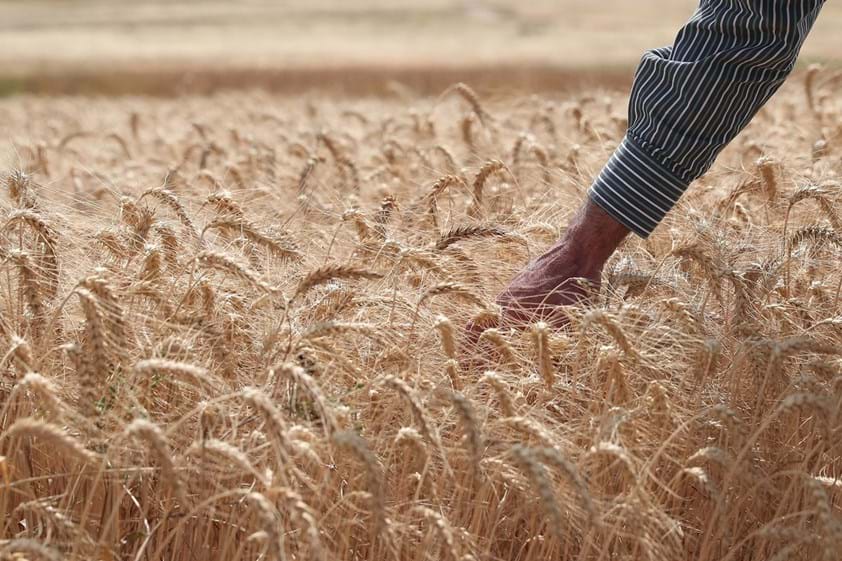 O setor agroalimentar está a ser pressionado por vários lados nos custos, já antecipando a sua repercussão no consumidor.