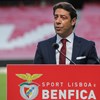 General Assembly of SAD do Benfica will be held online thumbnail