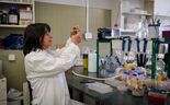 Superbactérias, uma ameaça latente 