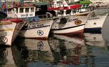 pescas, pesca, barco