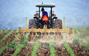 Montenegro quer inverter problema geracional do setor agrícola nacional 