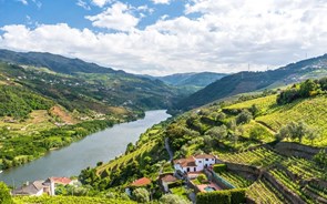 Empreendimento turístico de 60 milhões reabilita zona industrial degradada no Douro
