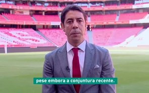 Benfica coloca emissão obrigacionista de 35 milhões de euros