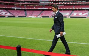 Rui Costa, Benfica