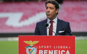 Rui Costa, Benfica