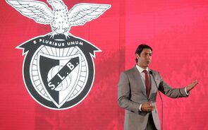 Rui Costa