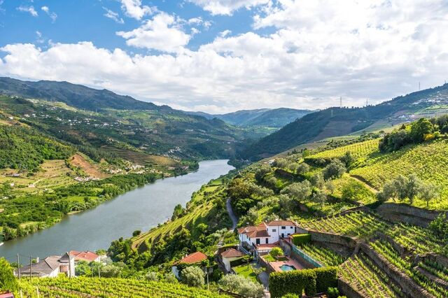 Empreendimento turístico de 60 milhões reabilita zona industrial degradada no Douro
