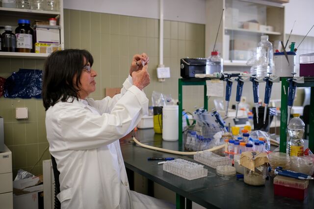 Superbactérias, uma ameaça latente 