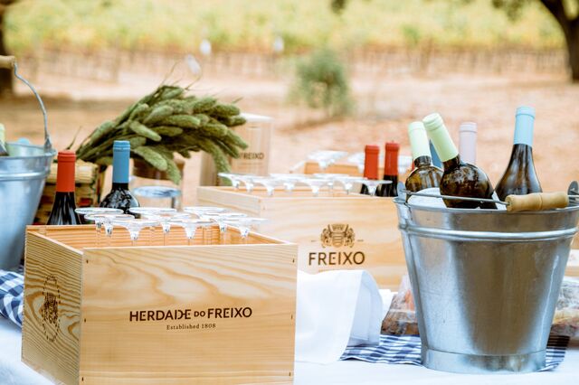 Os vinhos escondidos do Freixo