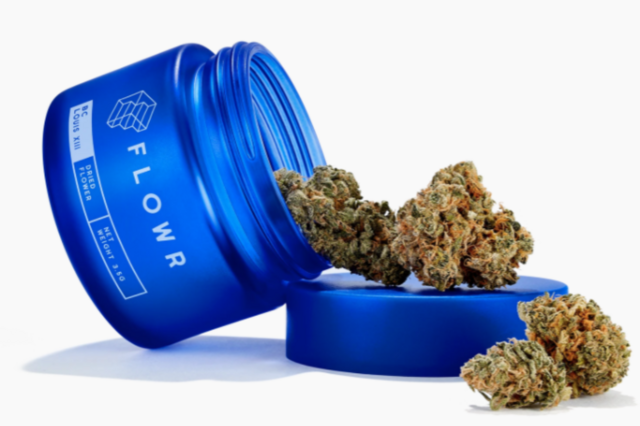 Maior venda de canábis medicinal a granel da UE vai sair de Aljustrel