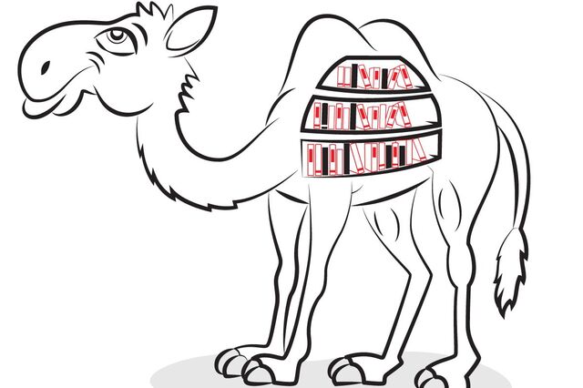 Tantos camelos