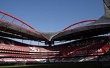 Benfica confirma existência da Benfica Internacional, explica o seu propósito e diz desconhecer investigação