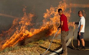 Agricultores afetados pelo incêndio de Castro Marim já podem reportar prejuízos