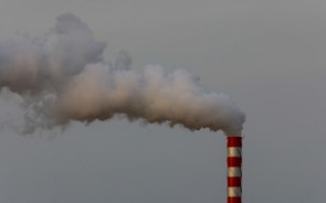 Só 4% das maiores empresas do mundo cumprem critérios de neutralidade carbónica da ONU