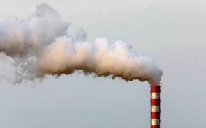 Governo diz que mudanças no mercado de carbono não terão maiores custos