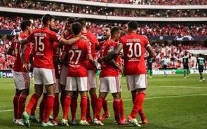 Benfica apontado como favorito à conquista da I Liga