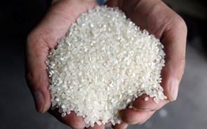Índia impõe restrições às exportações de arroz com imposto de 20% 