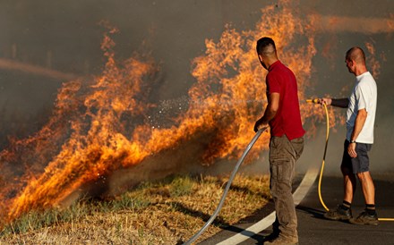 Agricultores afetados pelo incêndio de Castro Marim já podem reportar prejuízos